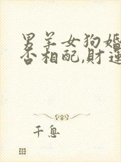 男羊女狗婚姻是否相配,财运如何