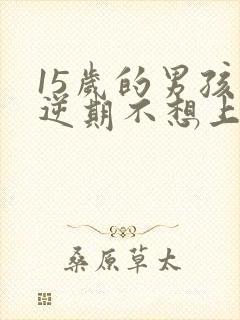 15岁的男孩叛逆期不想上学