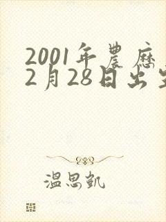 2001年农历2月28日出生的人命运封面