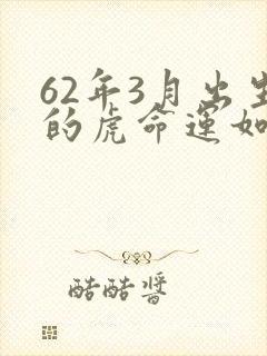 62年3月出生的虎命运如何