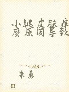 小腿皮肤痒是什么原因导致的