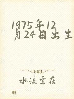 1975年12月24日出生的人命运