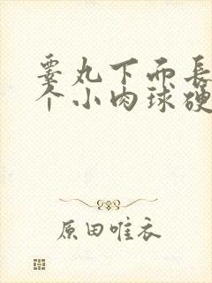 睾丸下面长了一个小肉球硬硬的