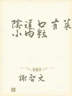 阴道口有菜花状小肉粒封面