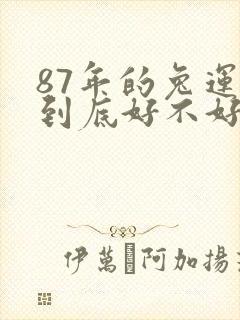 87年的兔运势到底好不好