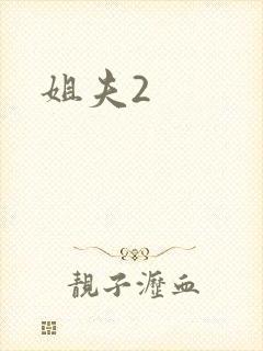 姐夫2封面