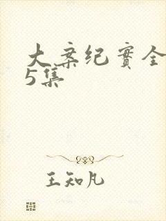 大案纪实全集45集