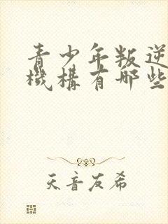 青少年叛逆教育机构有哪些