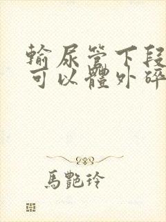 输尿管下段结石可以体外碎石封面