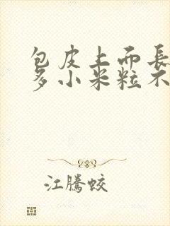 包皮上面长了好多小米粒不痛不痒封面