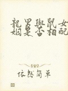 龙男与鼠女的婚姻是否相配