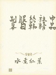 制服丝袜中文字幕日韩精品封面