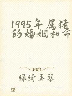 1995年属猪的婚姻和命运