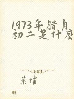 1973年腊月初二是什么命