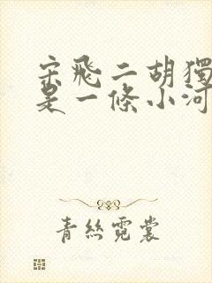 宋飞二胡独奏我是一条小河