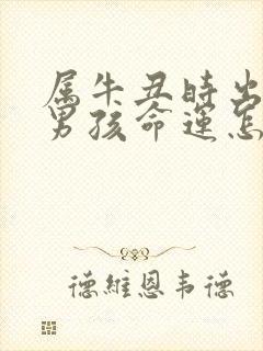 属牛丑时出生的男孩命运怎么样