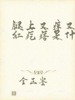 腿上又痒又疼的红疙瘩是什么