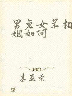 男兔女羊相配婚姻如何