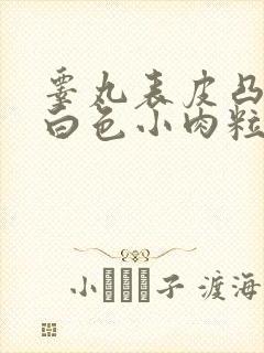 睾丸表皮凸起的白色小肉粒