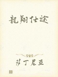 龙翔仕途