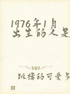 1976年1月出生的人是什么命