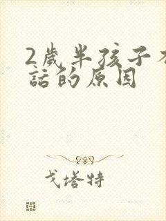 2岁半孩子不说话的原因