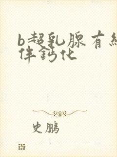 b超乳腺有结节伴钙化