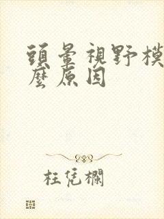 头晕视野模糊什么原因