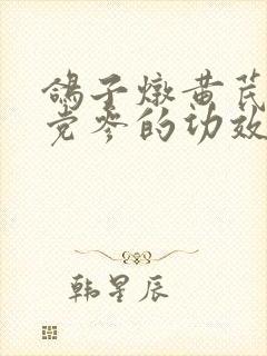 鸽子炖黄芪当归党参的功效和作用