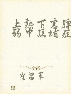 上热下寒脾胃虚弱中焦堵症状