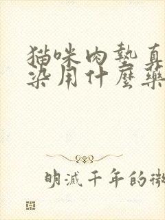 猫咪肉垫真菌感染用什么药封面