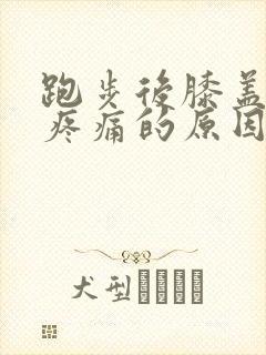 跑步后膝盖外侧疼痛的原因和解决办法