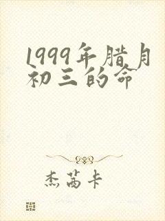 1999年腊月初三的命