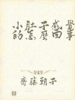 小肚子感觉硬硬的怎么回事封面