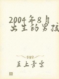 2004年8月出生的男孩命运
