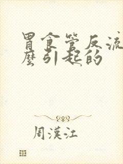 胃食管反流是什么引起的封面