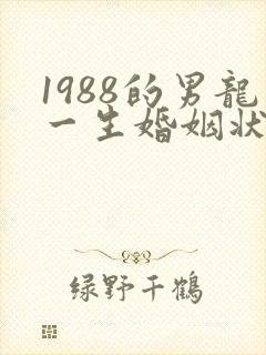1988的男龙一生婚姻状况