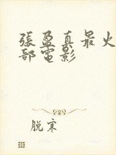 张盈真最火的三部电影