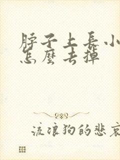 脖子上长小肉粒怎么去掉封面