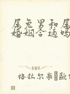 属兔男和属龙女婚姻合适吗