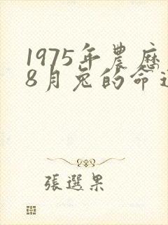 1975年农历8月兔的命运封面