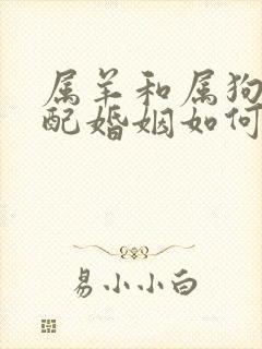 属羊和属狗的相配婚姻如何