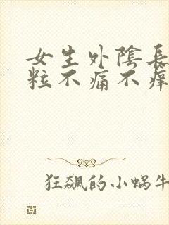 女生外阴长小肉粒不痛不痒