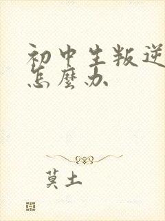 初中生叛逆骂人怎么办