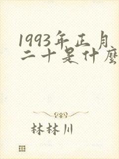 1993年正月二十是什么命封面