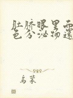 肚脐眼里面有白色分泌物还很臭