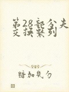 第28部分夫妇交换系列封面