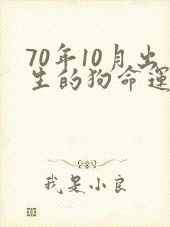 70年10月出生的狗命运