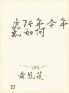 虎74年今年运气如何封面