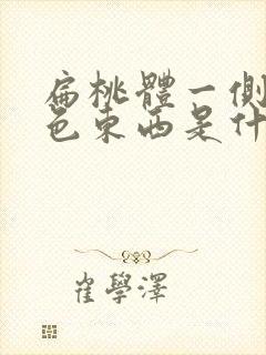 扁桃体一侧有白色东西是什么